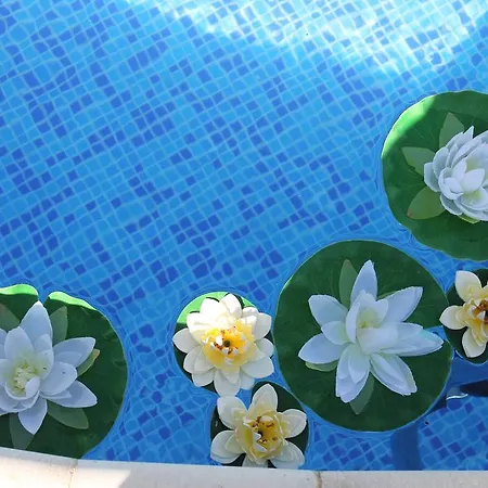 семеен идън 호텔