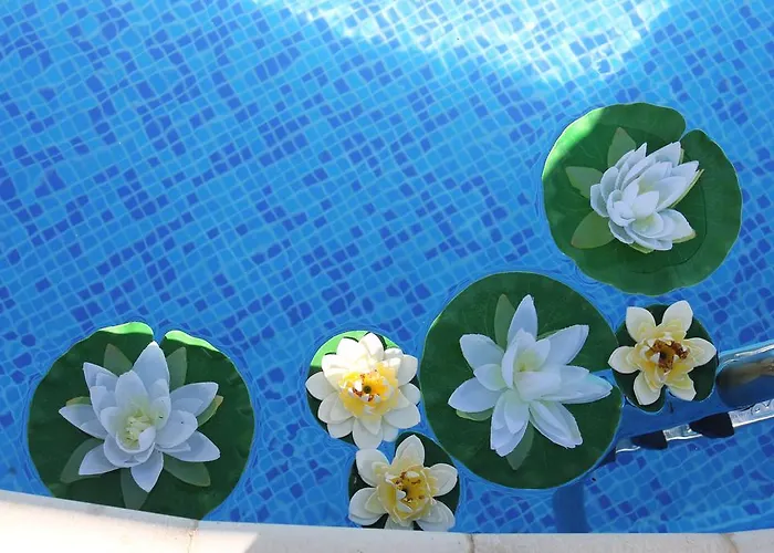 семеен идън Hotel